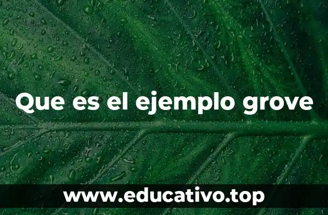 Que es el ejemplo grove