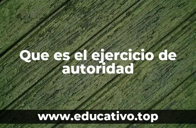 Que es el ejercicio de autoridad