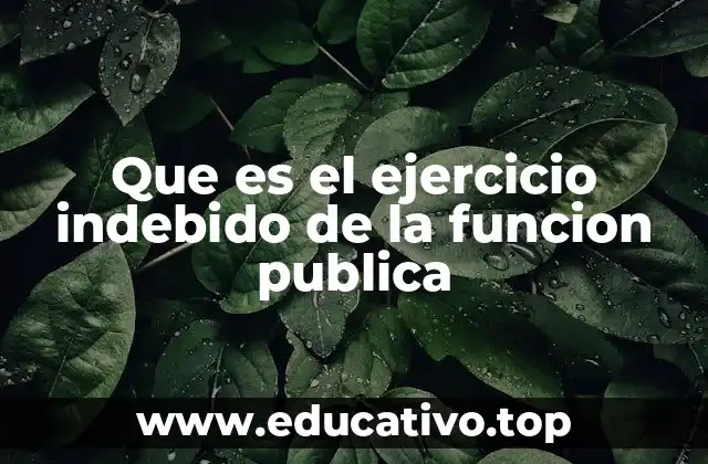 Que es el ejercicio indebido de la funcion publica