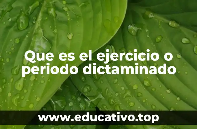 Que es el ejercicio o periodo dictaminado