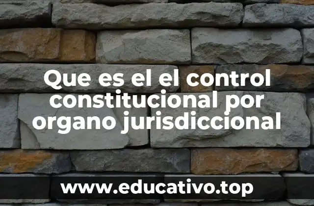 El rol del órgano jurisdiccional en el control de normas