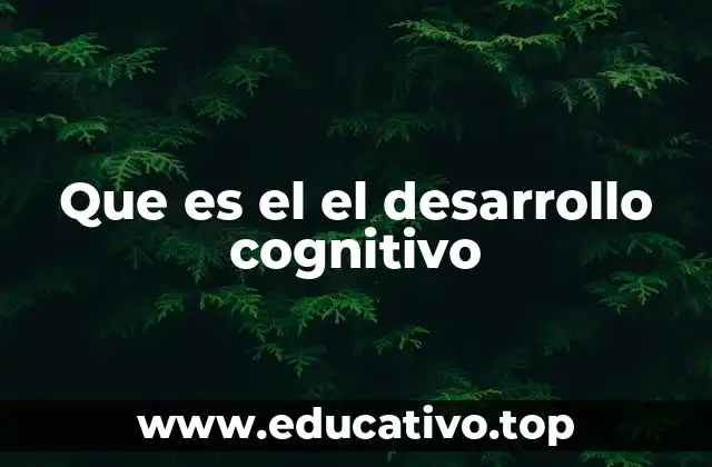 Que es el el desarrollo cognitivo