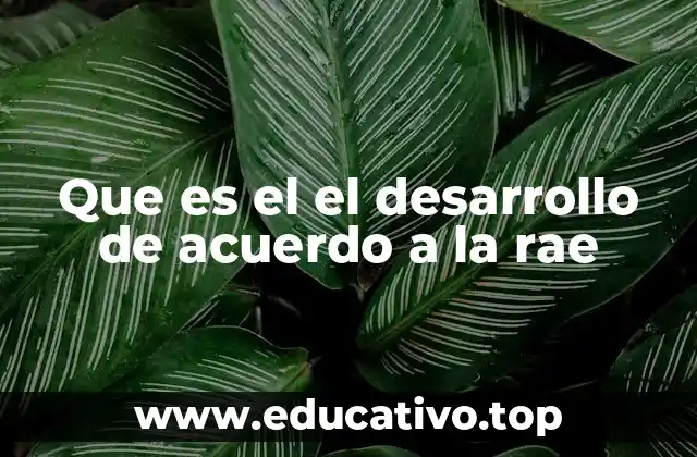 El concepto de desarrollo en distintos contextos