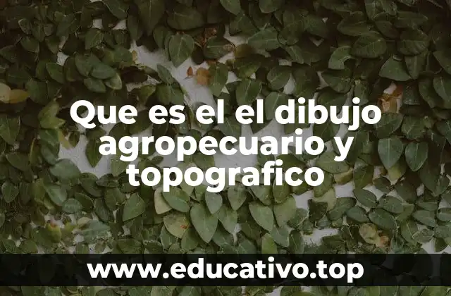 Que es el el dibujo agropecuario y topografico