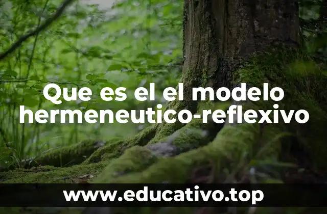 Que es el el modelo hermeneutico-reflexivo
