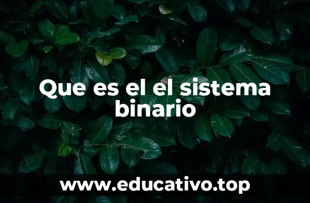Que es el el sistema binario