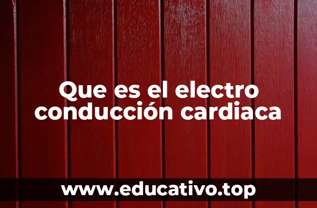 Que es el electro conducción cardiaca