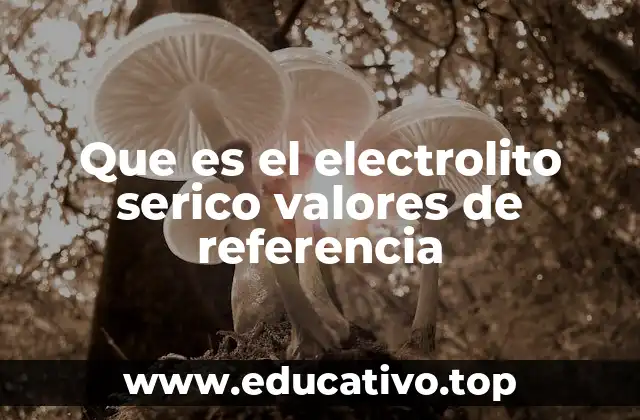 El papel de los electrolitos en la salud general