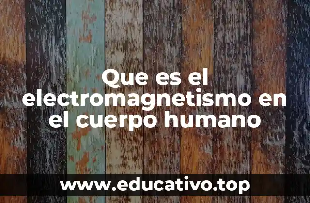 Que es el electromagnetismo en el cuerpo humano