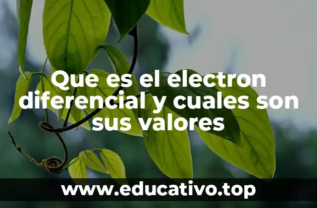 Que es el electron diferencial y cuales son sus valores