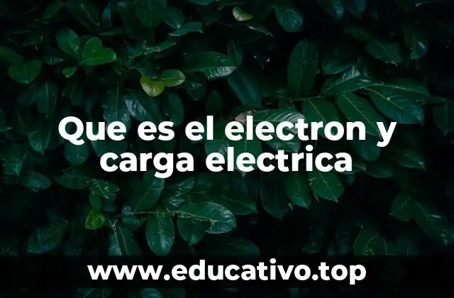 Que es el electron y carga electrica
