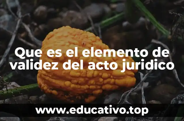 Que es el elemento de validez del acto juridico