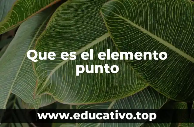 Que es el elemento punto
