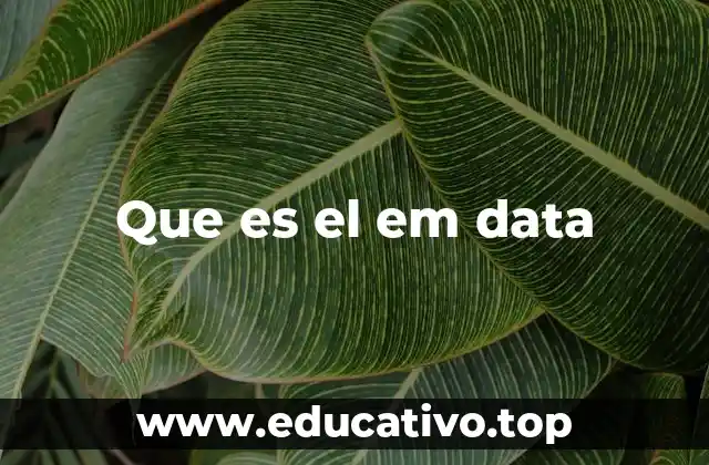 Que es el em data