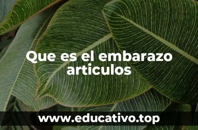 Que es el embarazo articulos