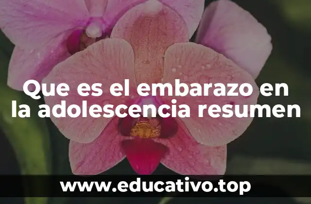 El impacto del embarazo en la adolescencia en la sociedad