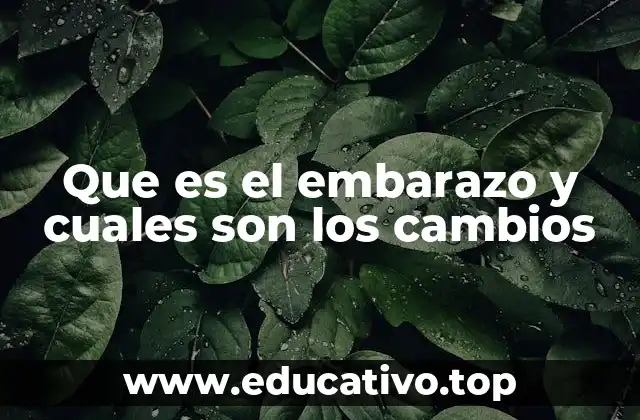 Que es el embarazo y cuales son los cambios