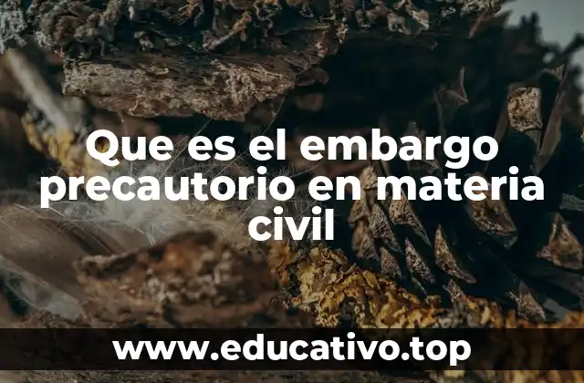 Que es el embargo precautorio en materia civil
