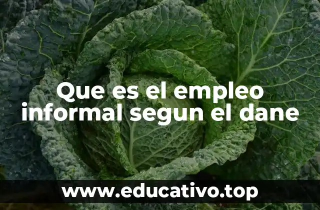 Que es el empleo informal segun el dane