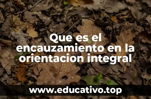 Que es el encauzamiento en la orientacion integral