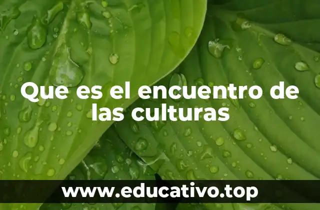 La interacción entre sociedades distintas y su impacto en la historia