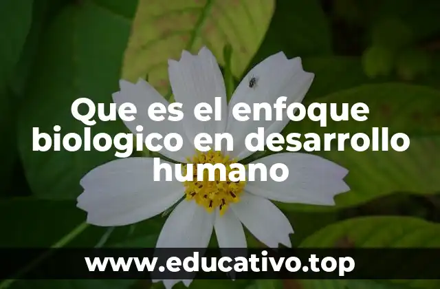 Que es el enfoque biologico en desarrollo humano