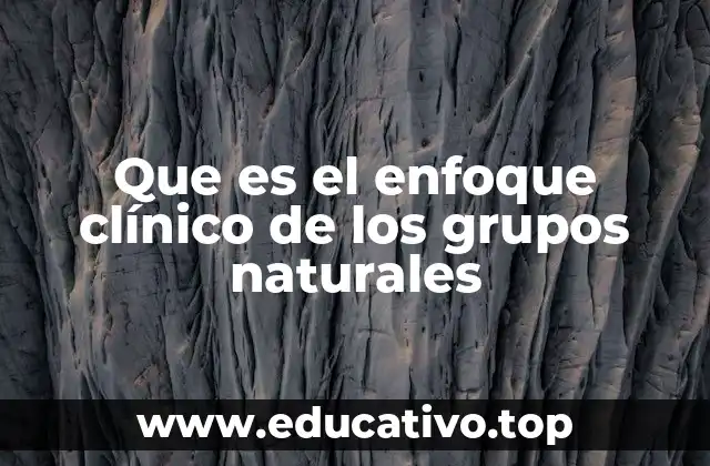 Que es el enfoque clínico de los grupos naturales