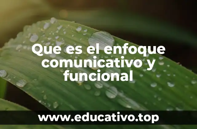 Que es el enfoque comunicativo y funcional