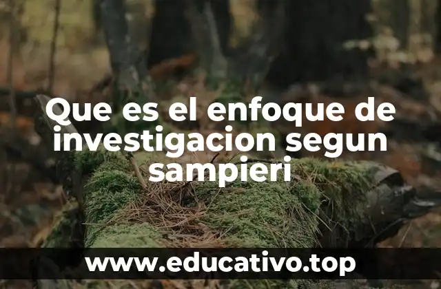 Que es el enfoque de investigacion segun sampieri