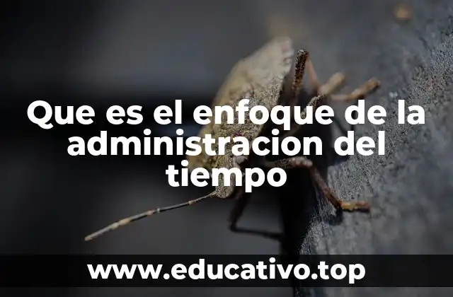 Que es el enfoque de la administracion del tiempo