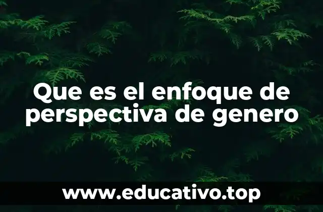 Que es el enfoque de perspectiva de genero