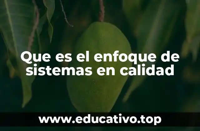 Que es el enfoque de sistemas en calidad