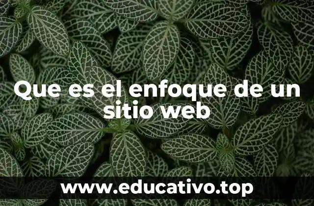 Que es el enfoque de un sitio web