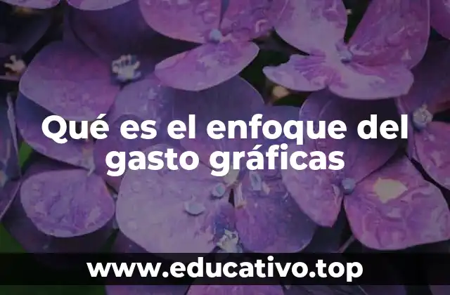 Qué es el enfoque del gasto gráficas