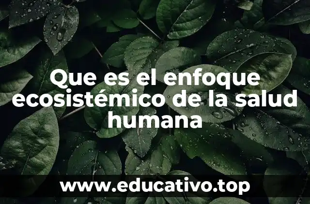 Que es el enfoque ecosistémico de la salud humana