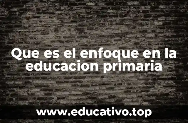 Que es el enfoque en la educacion primaria