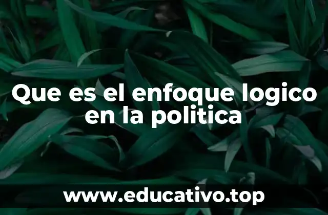 Que es el enfoque logico en la politica