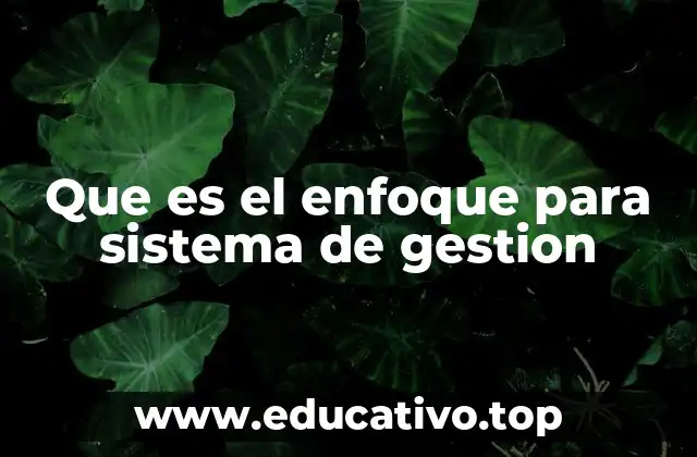 Que es el enfoque para sistema de gestion