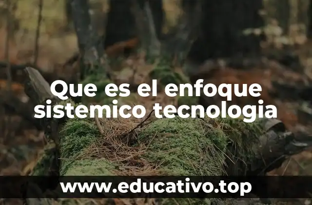 Que es el enfoque sistemico tecnologia