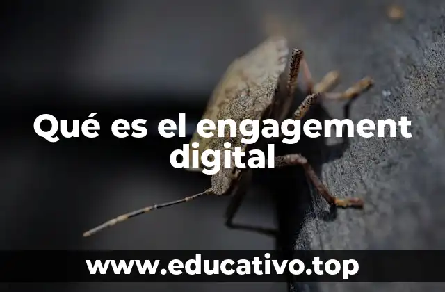 Qué es el engagement digital