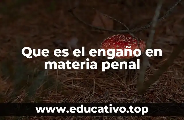 Que es el engaño en materia penal