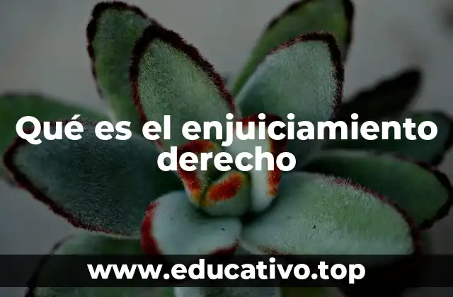 Qué es el enjuiciamiento derecho