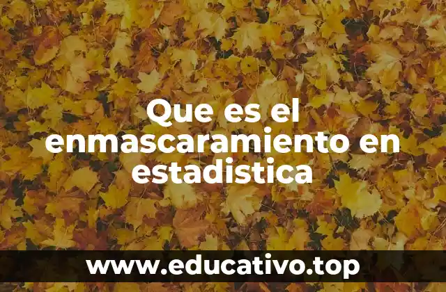 Que es el enmascaramiento en estadistica
