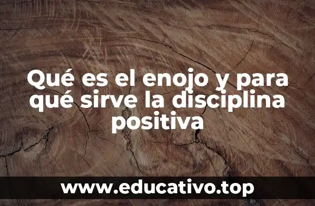Qué es el enojo y para qué sirve la disciplina positiva