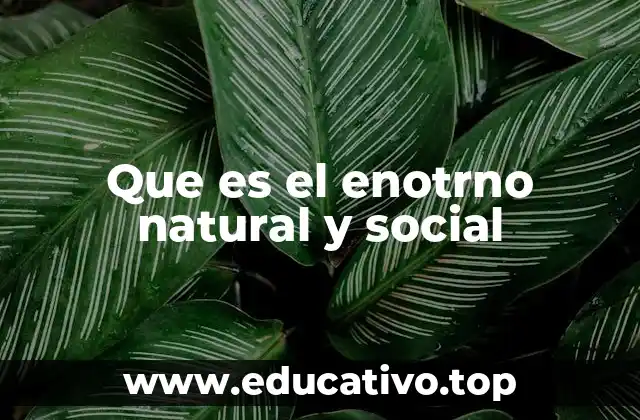 Que es el enotrno natural y social