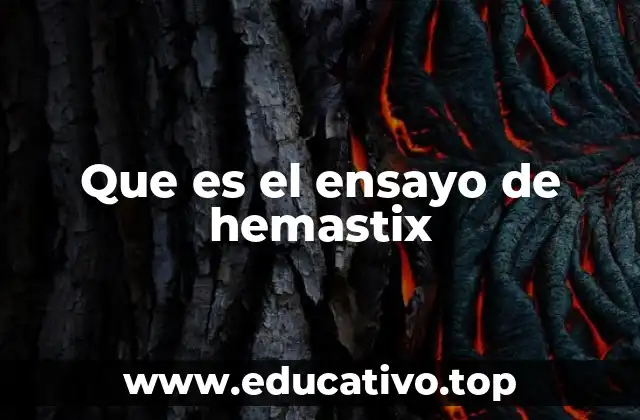 Que es el ensayo de hemastix