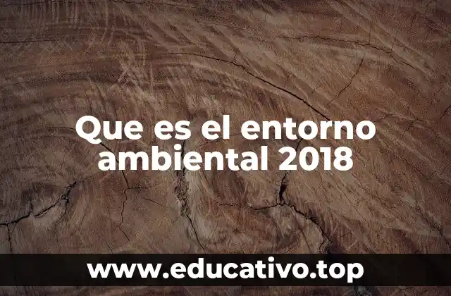 Que es el entorno ambiental 2018
