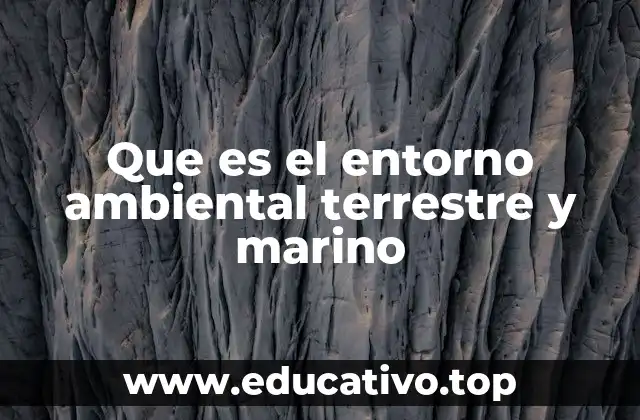 Que es el entorno ambiental terrestre y marino