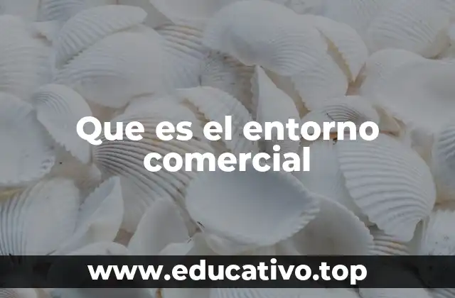 Que es el entorno comercial
