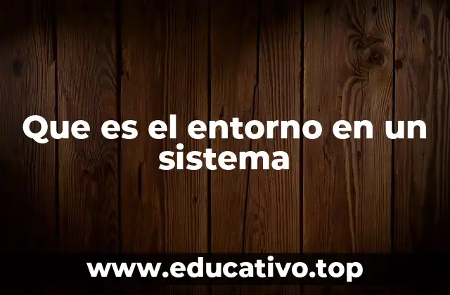 Que es el entorno en un sistema